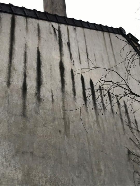 Origine et traitement des salissures sur les façades